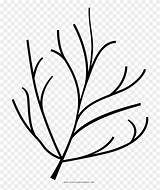 Twig Coloring Icons Clipart Pinclipart sketch template