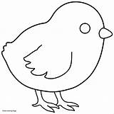 Chick Chicken Coloring Outline Pages Printable Kids Baby Colouring Drawing Simple Sheets Print Animal Template Chickens Cartoon Color Templates Hen sketch template