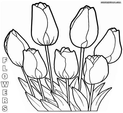 flower coloring pages coloring pages    print