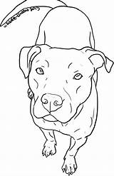 Pitbull Coloring Pages Drawing Dog Line Face Drawings Pit Clipart Bull Puppy Wolfie Dogs Easy Animal Printable Chain Undead Dessin sketch template