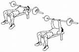 Grip Hubpages Barbell Bigger Beginners Benches Healthkart sketch template