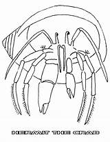 Coloring Crab Hermit Krebs Krabbe Ausmalbild Combat sketch template