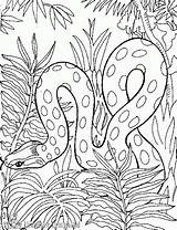 Slang Snakes Serpent Kleurplaten Letscolorit Sparad sketch template