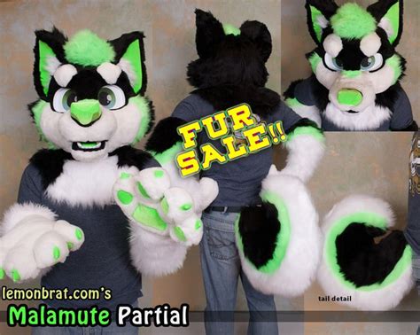 39 Best Fursuit Unboxing Images On Pinterest Fursuit