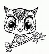 Coloring Owl Cute Pages Popular sketch template