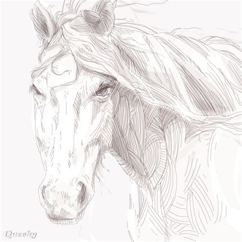 wild horse  animals speedpaint drawing  pppman queeky draw