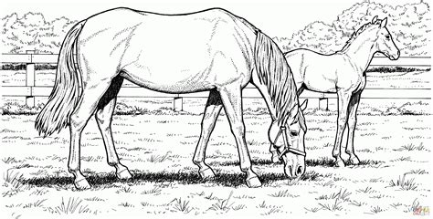 printable horse coloring pages  adults coloring home