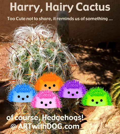 We Love Harry Hairy Cactus It’s Hysterical And Totally