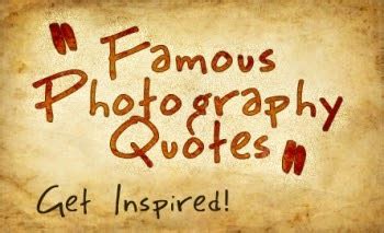hand picked  quotes  photography design arena