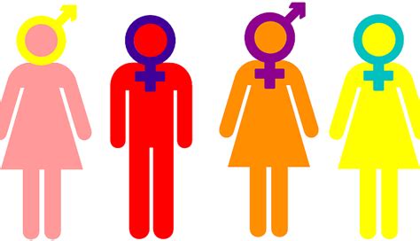 Gender And Sexuality Sex Education Clip Art Png