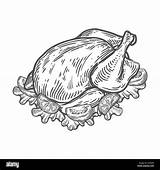 Arrosto Grilled Turkey Bianco Sketch Anatra Disegnati Grigliata Biologici Isolato Tacchino Alimenti Incise Illustrazioni Sfondo Isolated sketch template