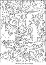 Coloring Doverpublications Dover Publications Fairy Welcome Pages Tale Enchanting Ch Scenes sketch template