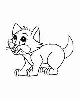 Coloring Cat Pages Cats Print Abir sketch template