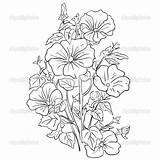 Coloring Flower Pages Flowers Bouquet Intricate Elegant Beautiful Adult Drawing Stock Imagixs Getdrawings Getcolorings Books Print sketch template
