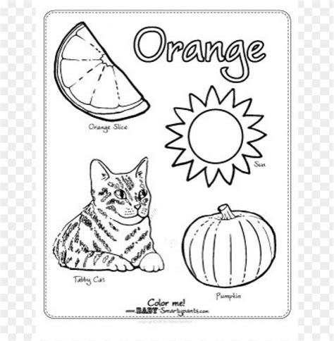 color orange coloring page png transparent  clear background id