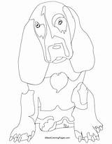 Coloring Pages Hound Basset Blood Bloodhound Dripping Vector Drawing Getdrawings Getcolorings Colorings sketch template