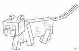 Minecraft Coloring Pages Cat Getdrawings sketch template