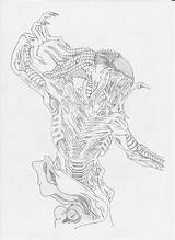 Predalien sketch template