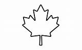 Maple Leaf Outline Clipart Canadian Coloring Canada Flag Tattoo Toronto Fall Pages Colouring Simple Mewarnai Printable Leaves Clipartbest Clipartmag Cliparts sketch template