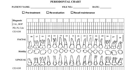 blank perio chart periodontal charting forms index  vrogueco