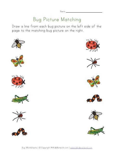 bug pictures matching worksheet  shown