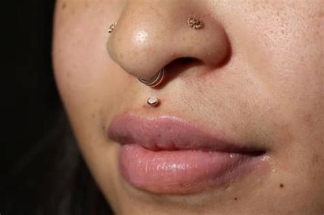 Double Nostril Medusa Double Septum I Like The Double Septum Lip