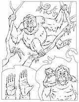 Chimpanzee Coloriage Orangutan Mono Simios Planeta Ausmalbilder Enseignement Ausmalbild Kolorowanki Szympans Didattica Bestcoloringpagesforkids Pongo Dzieci Dibujar Nationalgeographic sketch template