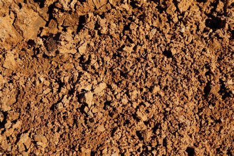 improve clay soil  vegetable gardening envii