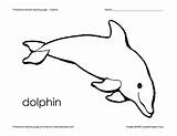 Dolphin Preschool Worksheet Coloring Animal Kindergarten Pre Reviewed Curated sketch template