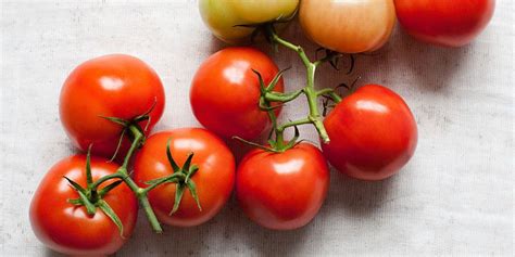 Top Tips On Growing Tomatoes Plus Tasty Tomato Recipes