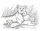 Drawing Baby Lions Mother Lion Pencil Lioness Drawings Print Cubs Cub Draw Tattoo Animal Etsy Her Animals Cute Tattoos Painting sketch template