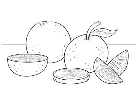 printable orange coloring page    https