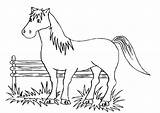 Cheval Enclos Pferde Colorier Landwirtschaft Caballo Dressage 2269 Chevaux Pferden sketch template