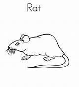 Rat Coloring Pages Printable Kids Template Fink Bestcoloringpagesforkids sketch template