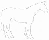 Stallion Outlines Delightful Horses Freequilt sketch template