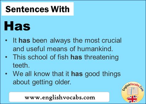 sentences     sentence  english vocabs