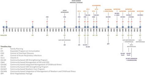 Nepals Community Based Health System Model Structure Strategies And