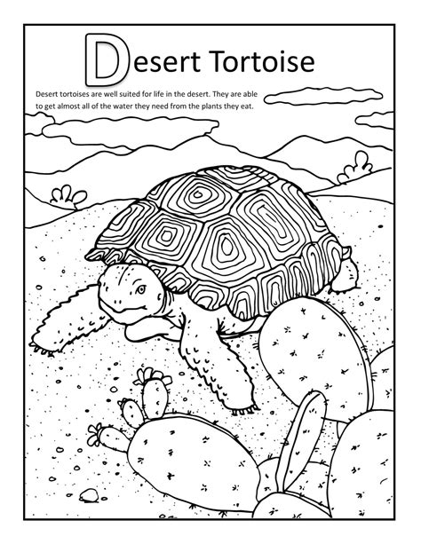 desert coloring pages  coloring pages  kids