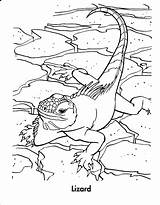 Coloring Reptile Pages Lizard Kids Printable Lizards Print Color Animals Popular sketch template