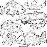 Fish Coloring Freshwater Pages Clipart River Getcolorings Fresh Water Printable Color Clipground sketch template