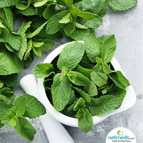 mint leaves  soothing benefits  irritated skin