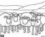 Sheep Shaun Coloring Flock Pages Its Designlooter 250px 86kb sketch template