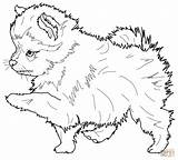 Pomeranian Supercoloring sketch template