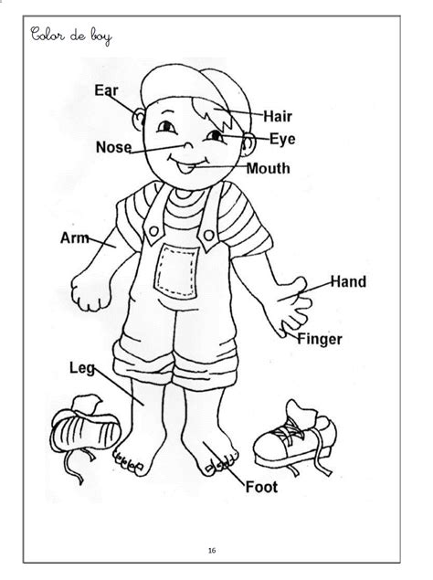 witch worksheets  preschool human body coloring pages  kids