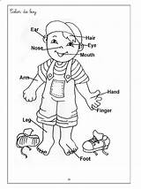 Kids Worksheets Body Coloring Human Pages Preschool Toddler Book Color Sheets Choose Board sketch template