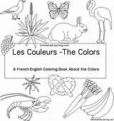 French Cover Enchantedlearning Colors Subscribers Estimate Kindergarten Preschool Grade Level sketch template