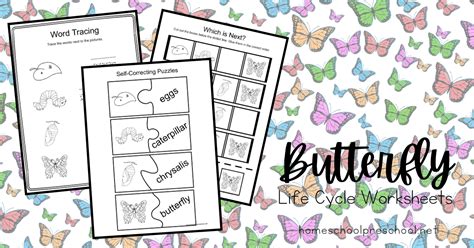 printable life cycle   butterfly  kids