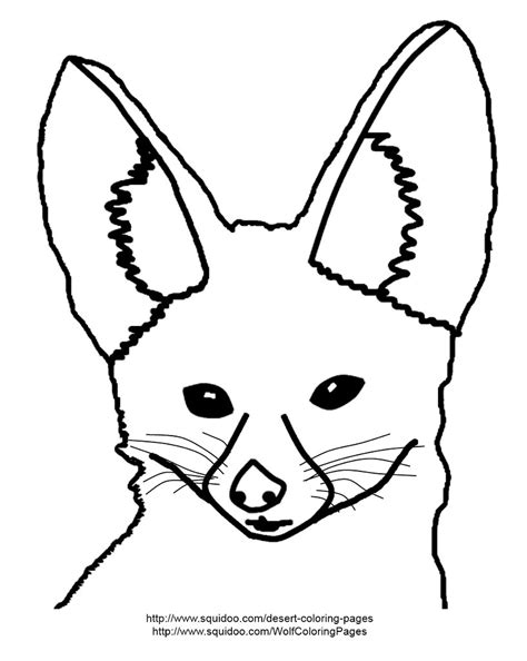 fennec fox coloring page fennec fox coloring page adapted flickr