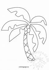 Palm Coconut Tree Hawaiian Tropical Trees Template Coloring Pages sketch template