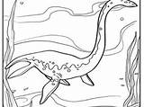 Elasmosaurus Tsgos sketch template
